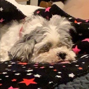 Meet your Posher, Brynn